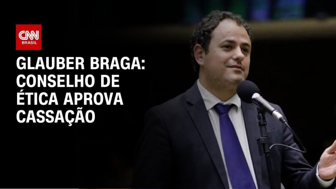 cassacao-de-glauber-braga:-como-votou-cada-deputado-no-conselho-de-etica