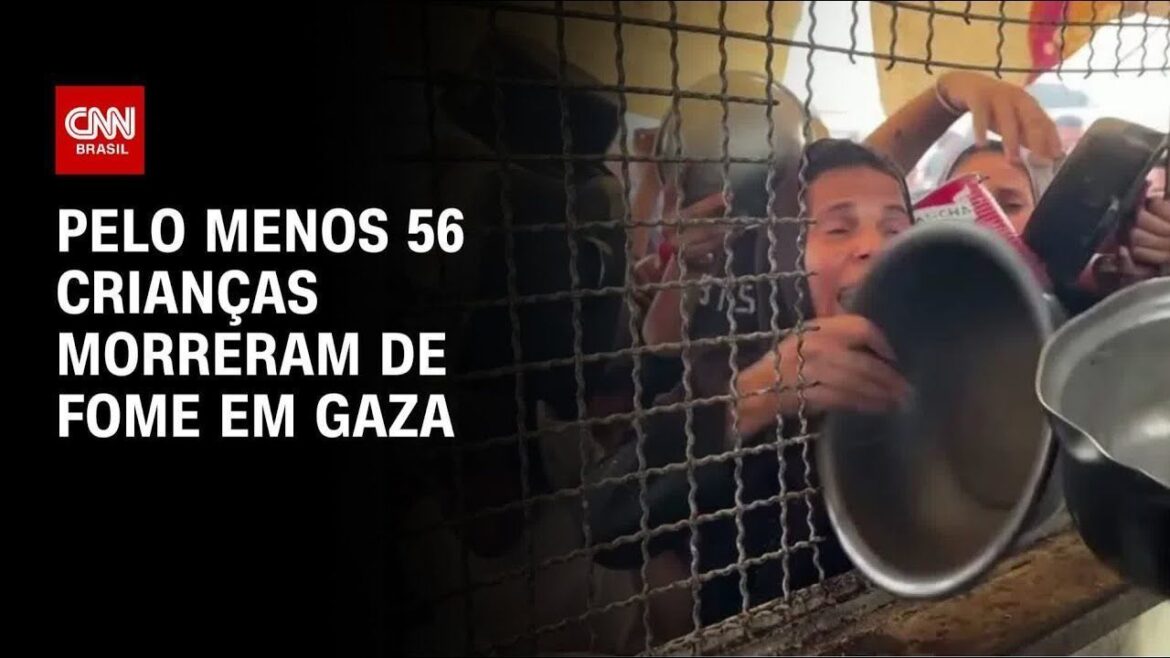 “morrer-e-mais-facil”,-diz-palestina-sobre-fome-que-assola-gaza