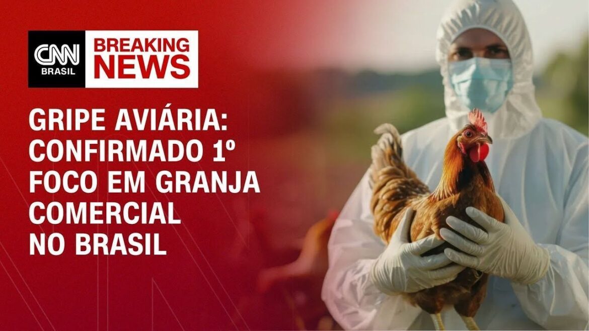 rs-instala-barreiras-sanitarias-para-fiscalizar-casos-de-gripe-aviaria