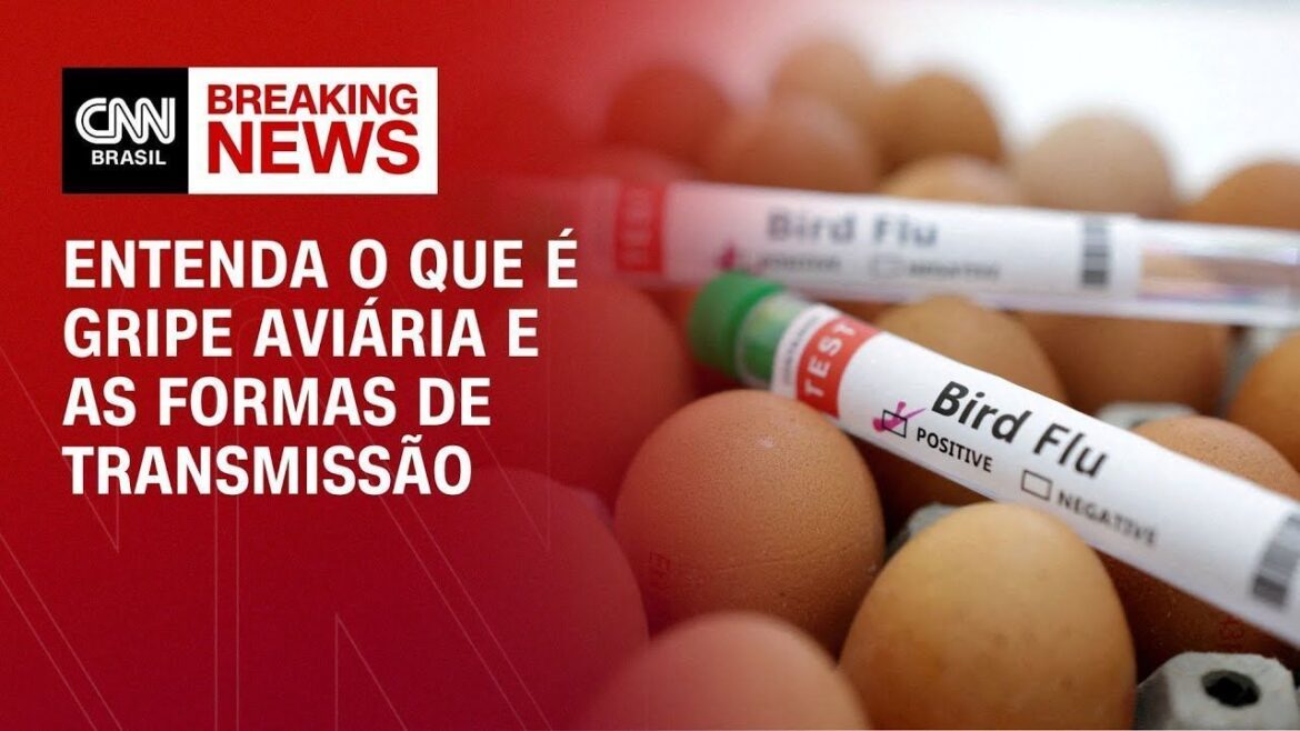 gripe-aviaria:-veja-quais-sao-os-casos-investigados-no-brasil
