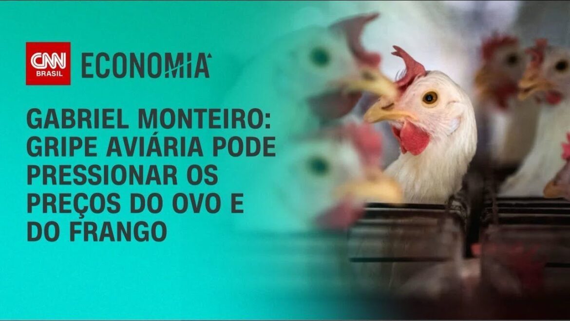 uniao-europeia-e-9-paises-suspendem-compra-de-frango-brasileiro;-veja-lista