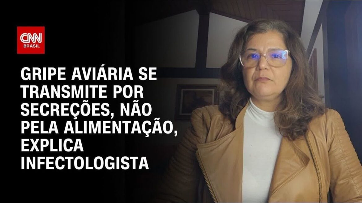 gripe-aviaria-em-humanos:-veja-os-sintomas-e-como-e-transmitida