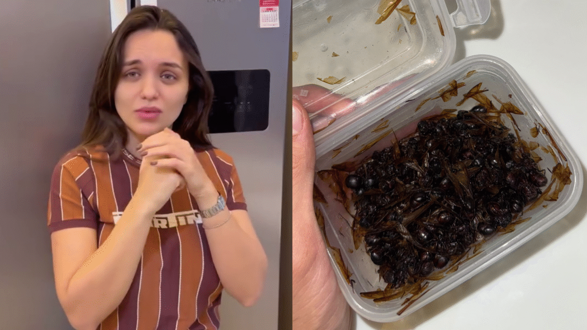 nattan-oferece-inseto-para-rafa-kalimann-comer-e-reacao-surpreende;-veja