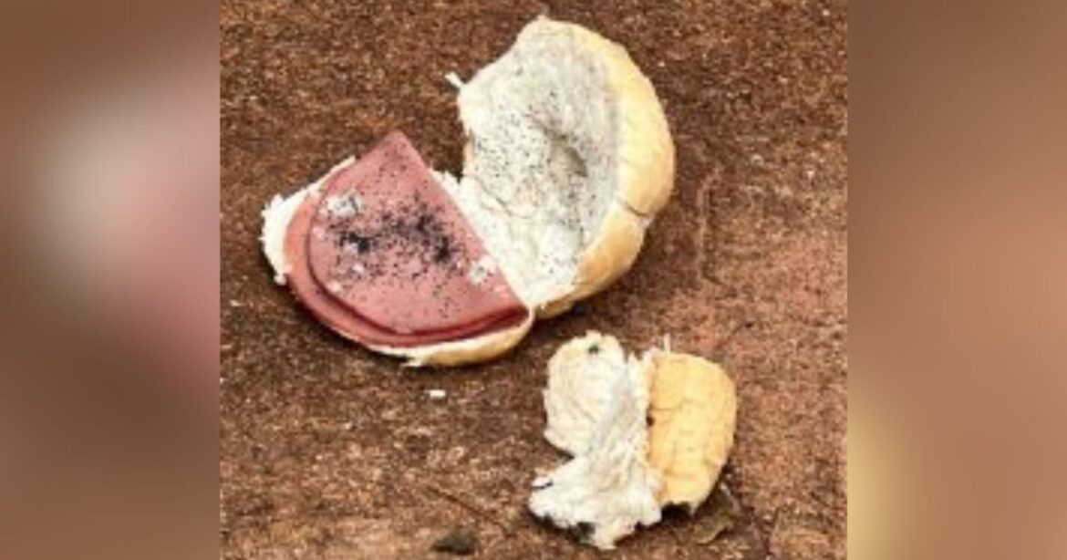 pao-com-mortadela-envenenada:-idoso-e-preso-apos-matar-jovem-em-ms