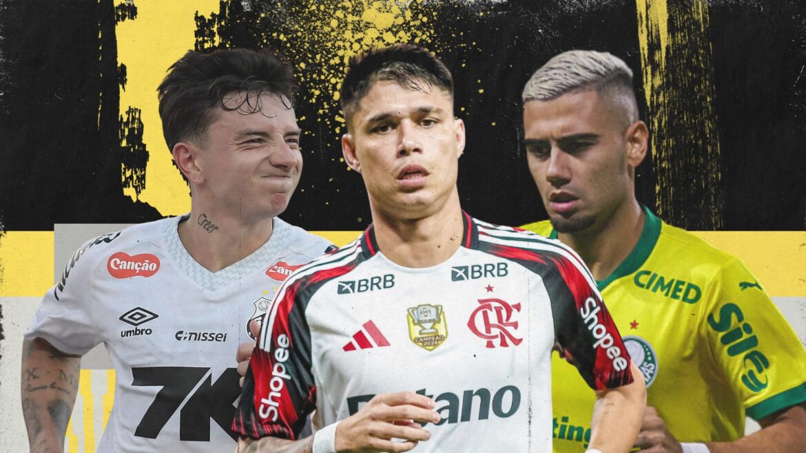 brasileirao:-matematica-do-titulo,-libertadores-e-rebaixamento-apos-a-30a-rodada