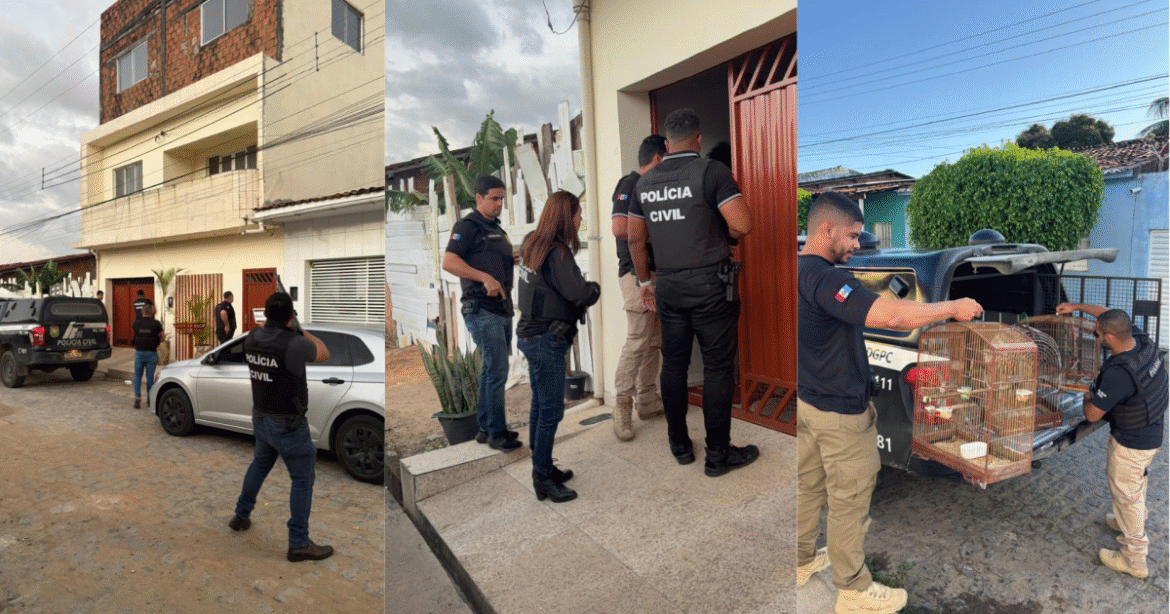 policia-prende-35-pessoas-em-operacao-contra-o-crime-organizado-em-alagoas