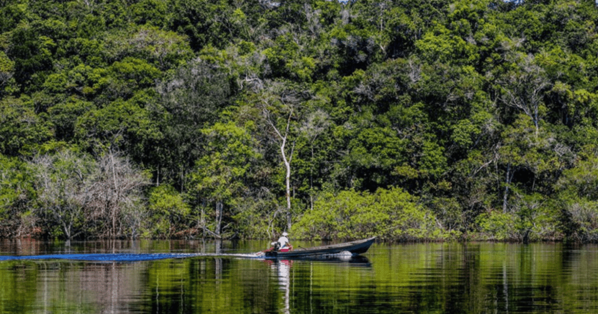 clima-extremo-afeta-1,8-milhao-na-amazonia;-prejuizo-alcanca-us$-5-bilhoes